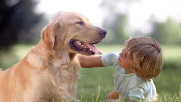 pet therapy terapia con gli animali
