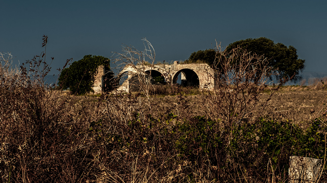 Dialettando 35 - Modi di dire lucerini