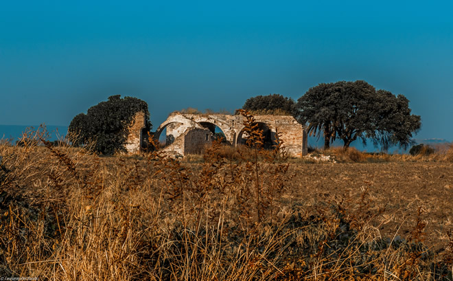 Dialettando 36, modi di dire lucerini