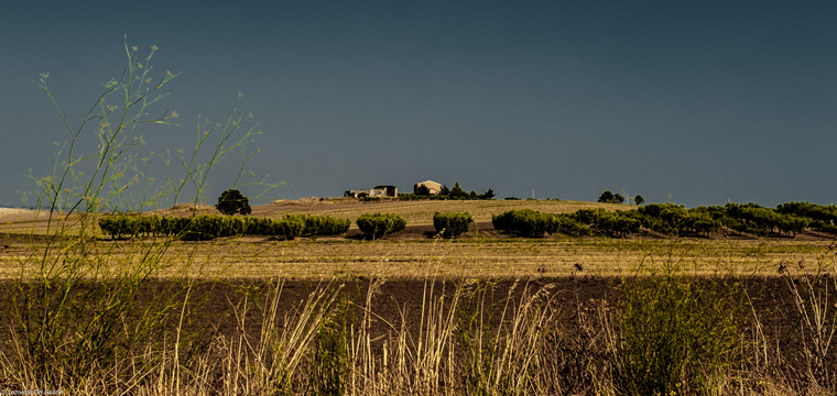 Dialettando 37 - Modi di dire lucerini