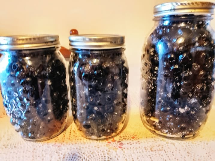 olive nere sotto sale ricetta