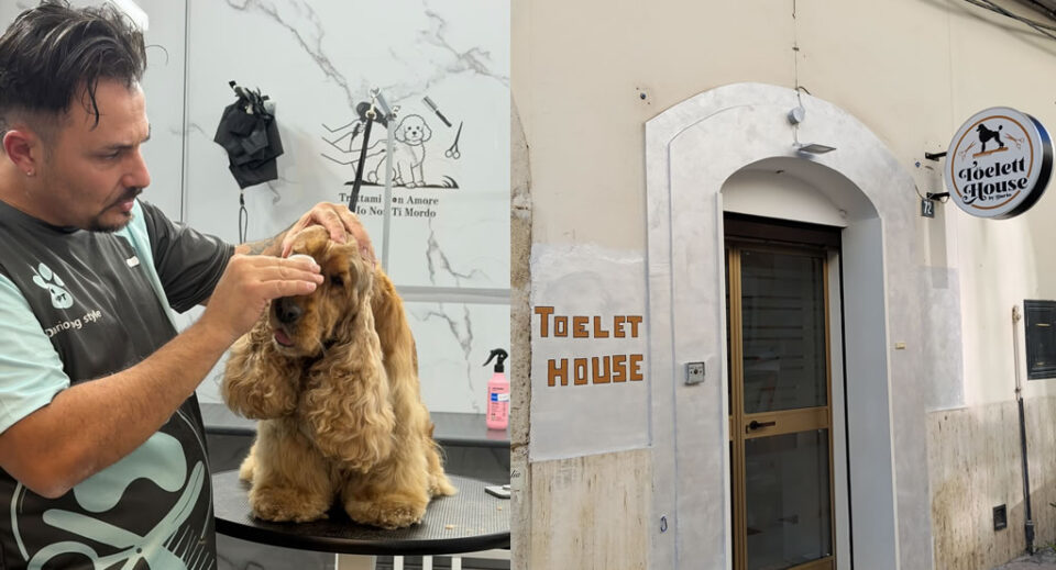 Toelette House di Dario Tedeschi